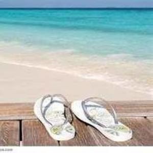 Meet your Posher, Ann